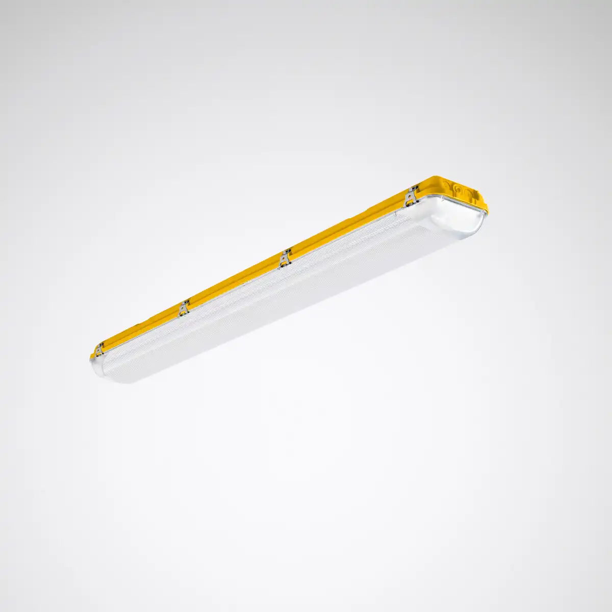 Trilux Acquex Enda Product